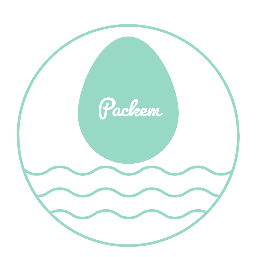 Packem logo — 3D packing solution to maximise logistics efficiency